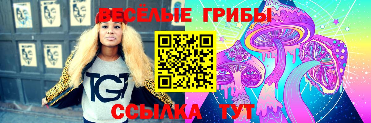 Галлюциногенные грибы мухоморы Медногорск